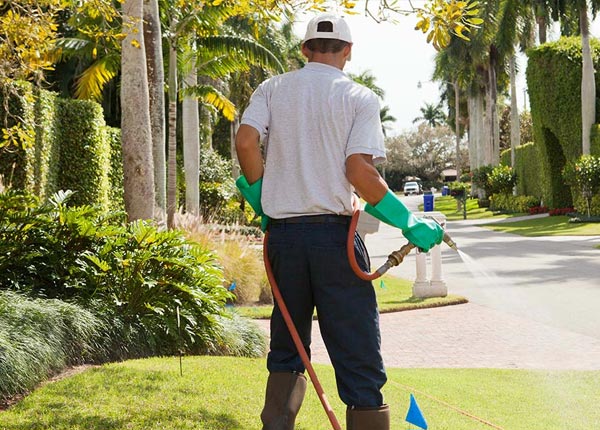 About Funston GA Pest Control Pros